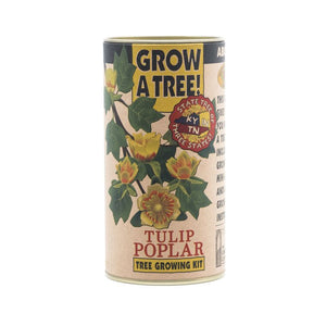 Tulip Poplar Seed Grow Kit
