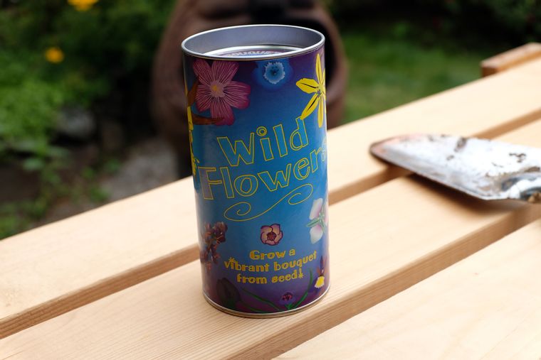 Wildflower Seed Grow Kit
