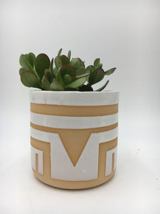 Handmade Ceramic Sunset Cactus Pot